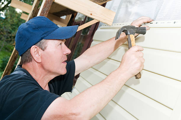 Best Steel Siding Installation  in Bushnell, FL